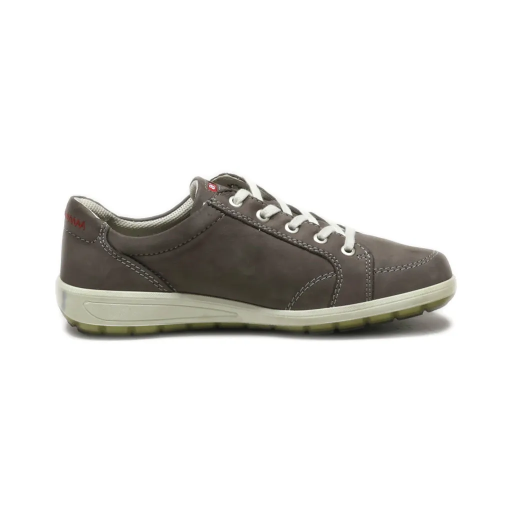 Ara Lace Ups Nubuck Grey Colour For Women