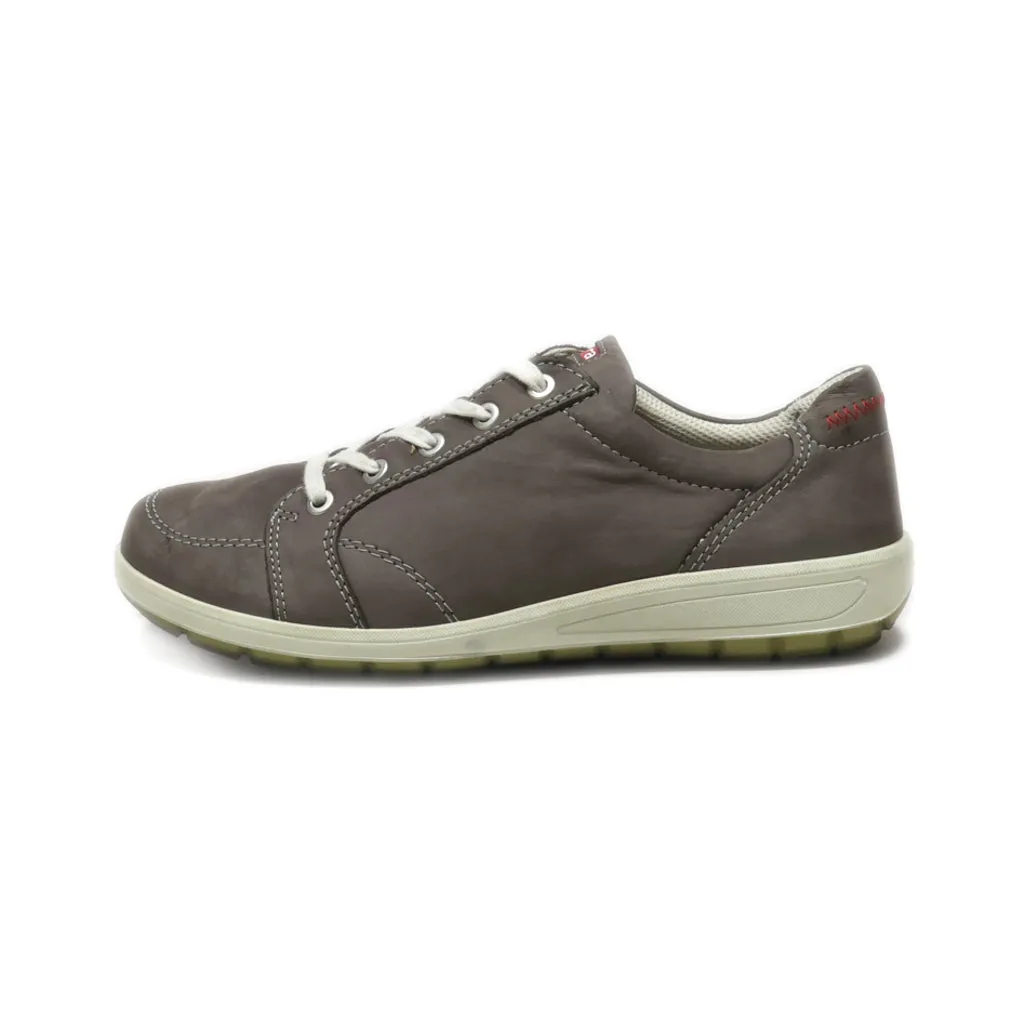 Ara Lace Ups Nubuck Grey Colour For Women