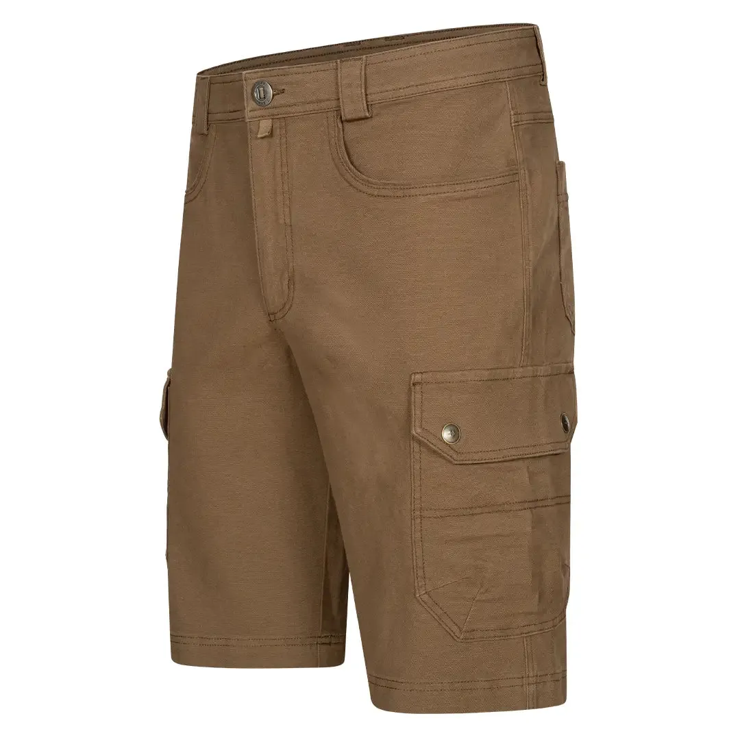 Austin Oxford Cotton Shorts - Teak by Blaser