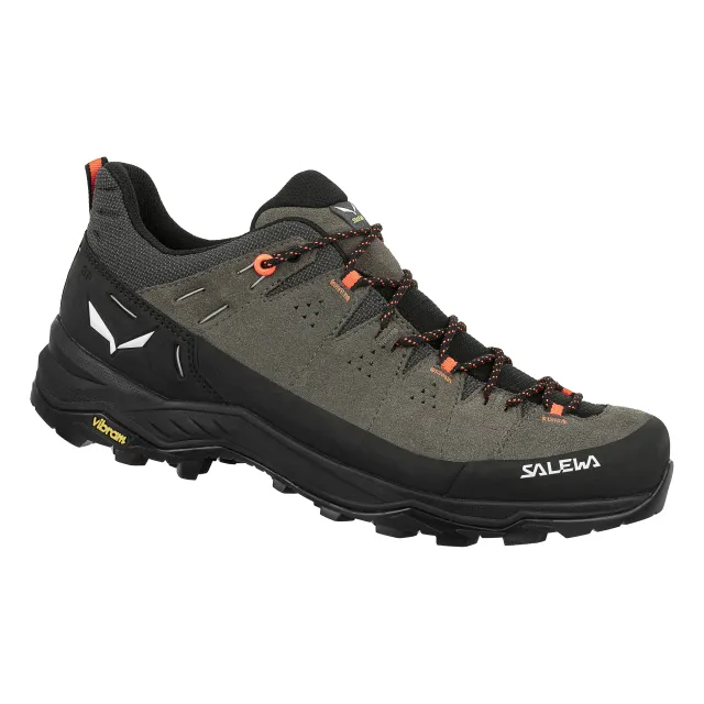 Men's Alp Trainer 2